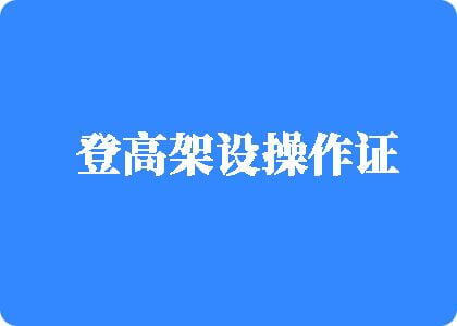 18禁艹骚逼登高架设操作证